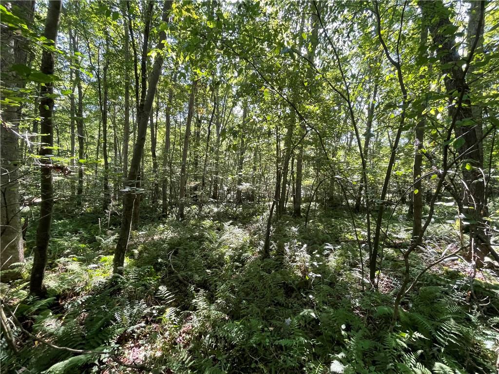 0 Burke Road Farmington, PA 15437 - Photo 10 of 12 Gallery Image 10