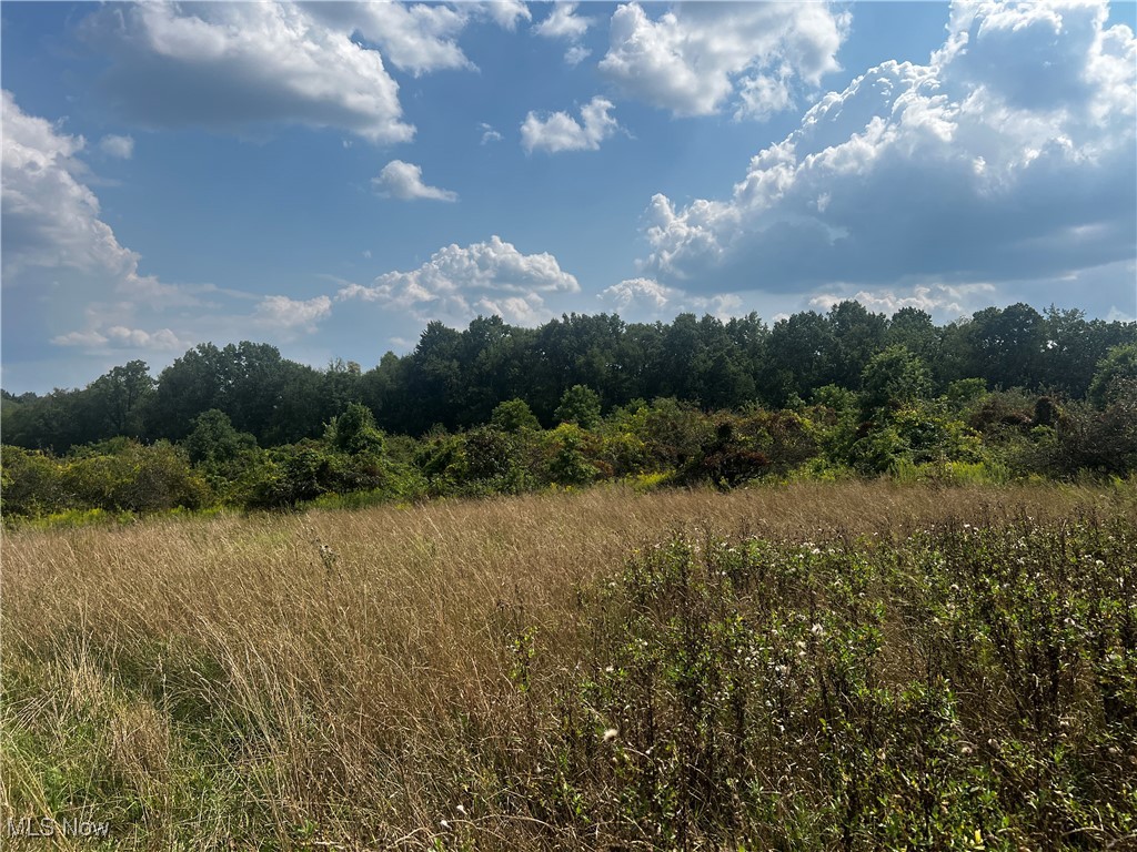 Cates Road Akron, OH 44312 - Photo 8 of 28