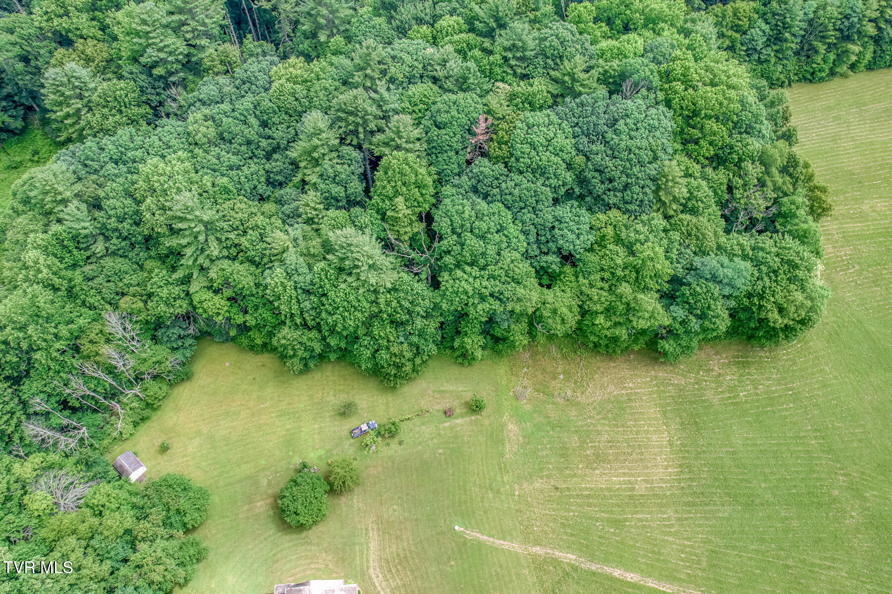 1678 Sluder Road Shady Valley, TN 37688 - Photo 12 of 110 1678 Sluder Rd-12