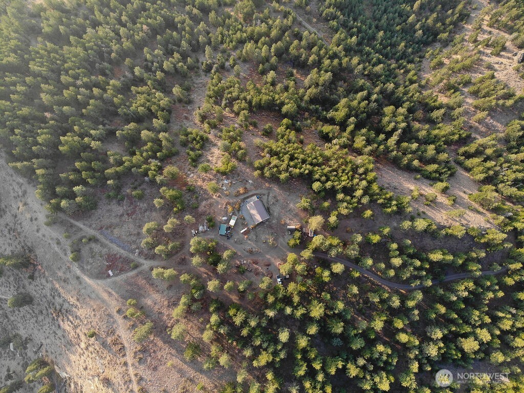 3050 East Stiss Canyon Road Wenatchee, WA 98801 - Photo 22 of 27 a view of a tree