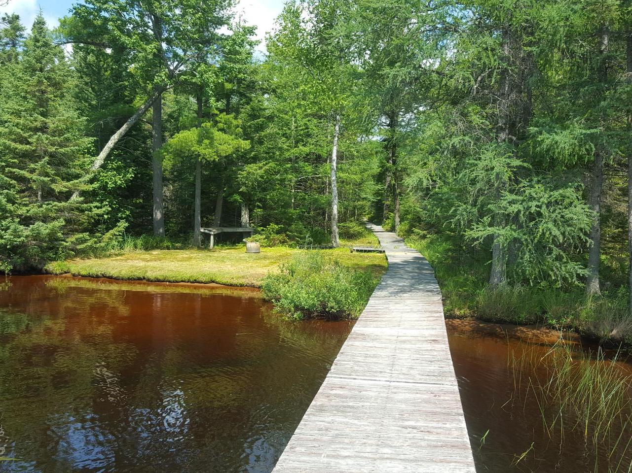 Lot 40 Cw Smith Road Three Lakes, WI 54562 - Photo 1 of 49 Gallery Image 1