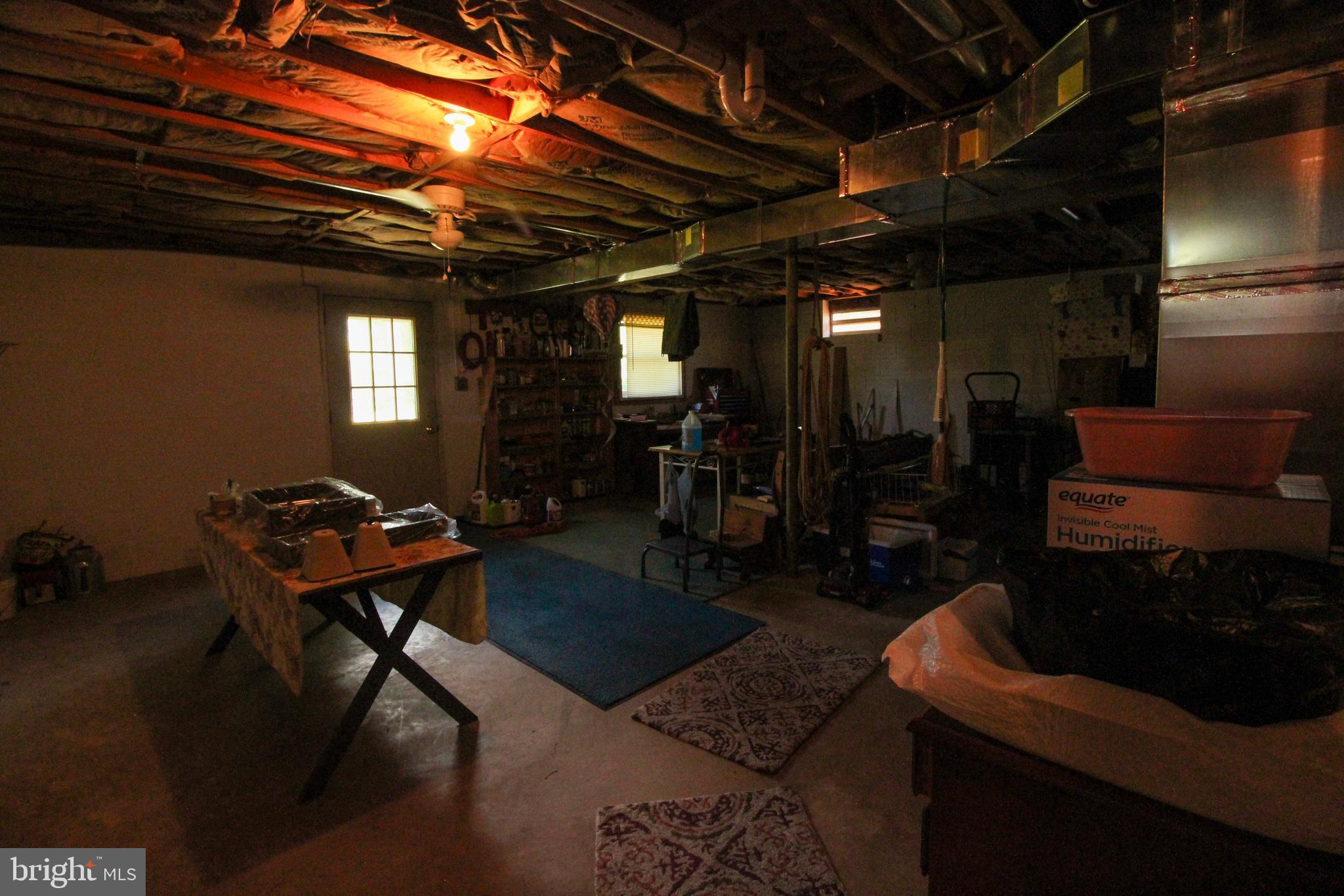 4250 Palmyra Church Road Edinburg, VA 22824 - Photo 18 of 24 Basement