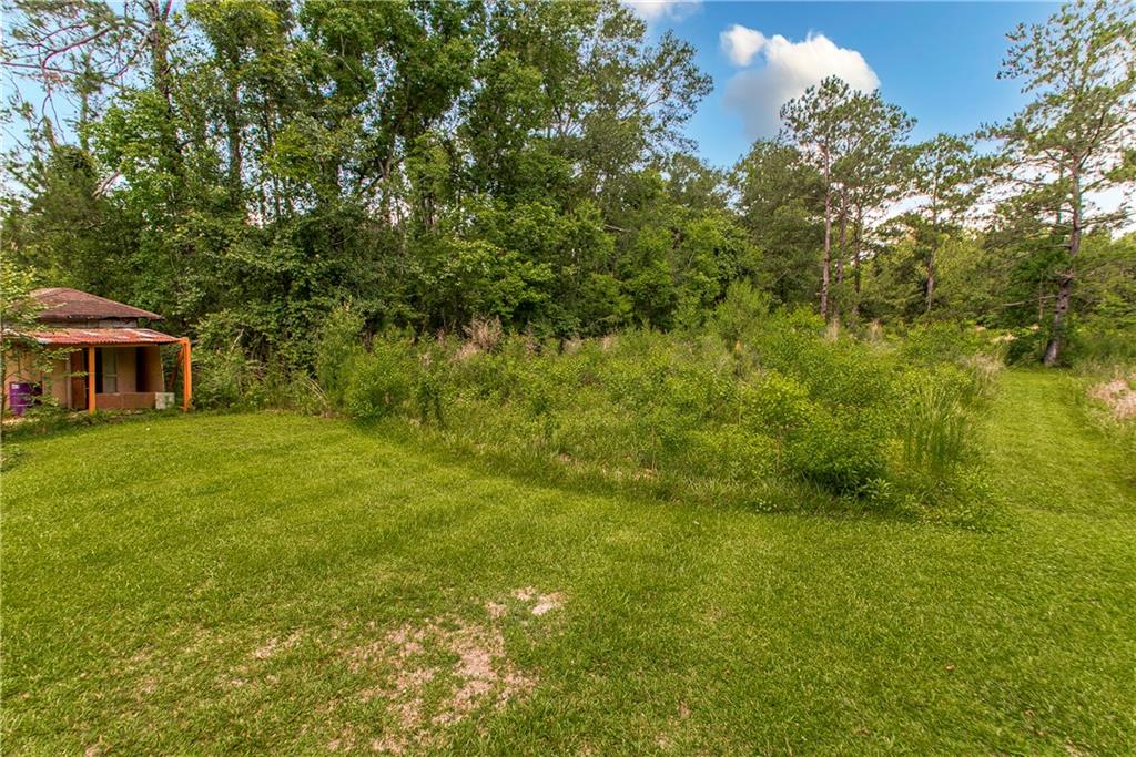 41235 West Yellow Water Road Hammond, LA 70403 - Photo 24 of 29 Gallery Image 24