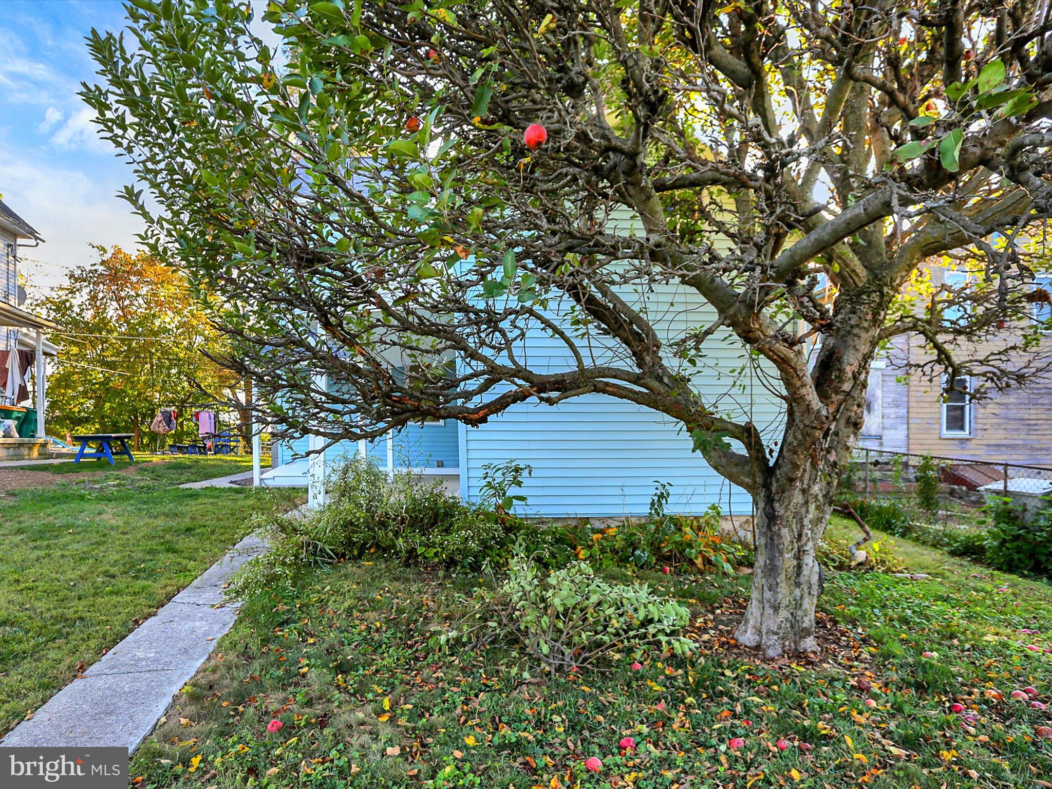 497 State Street Enola, PA 17025 - Photo 39 of 47 a backyard of a house with lots of green space