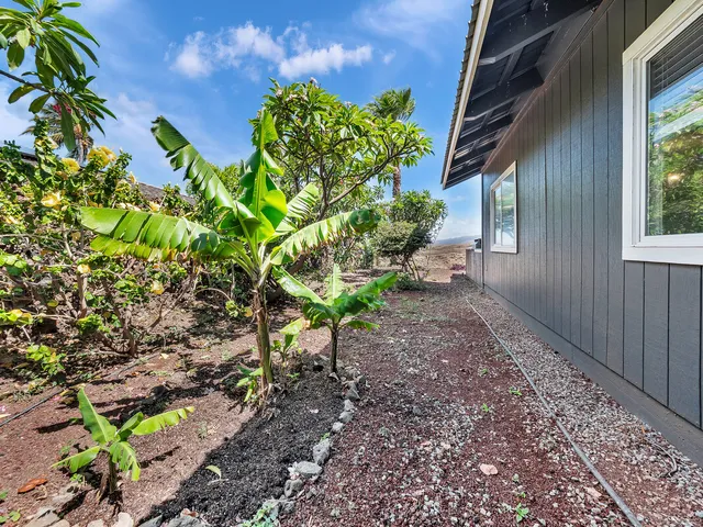 a backyard of a house with lots of green space