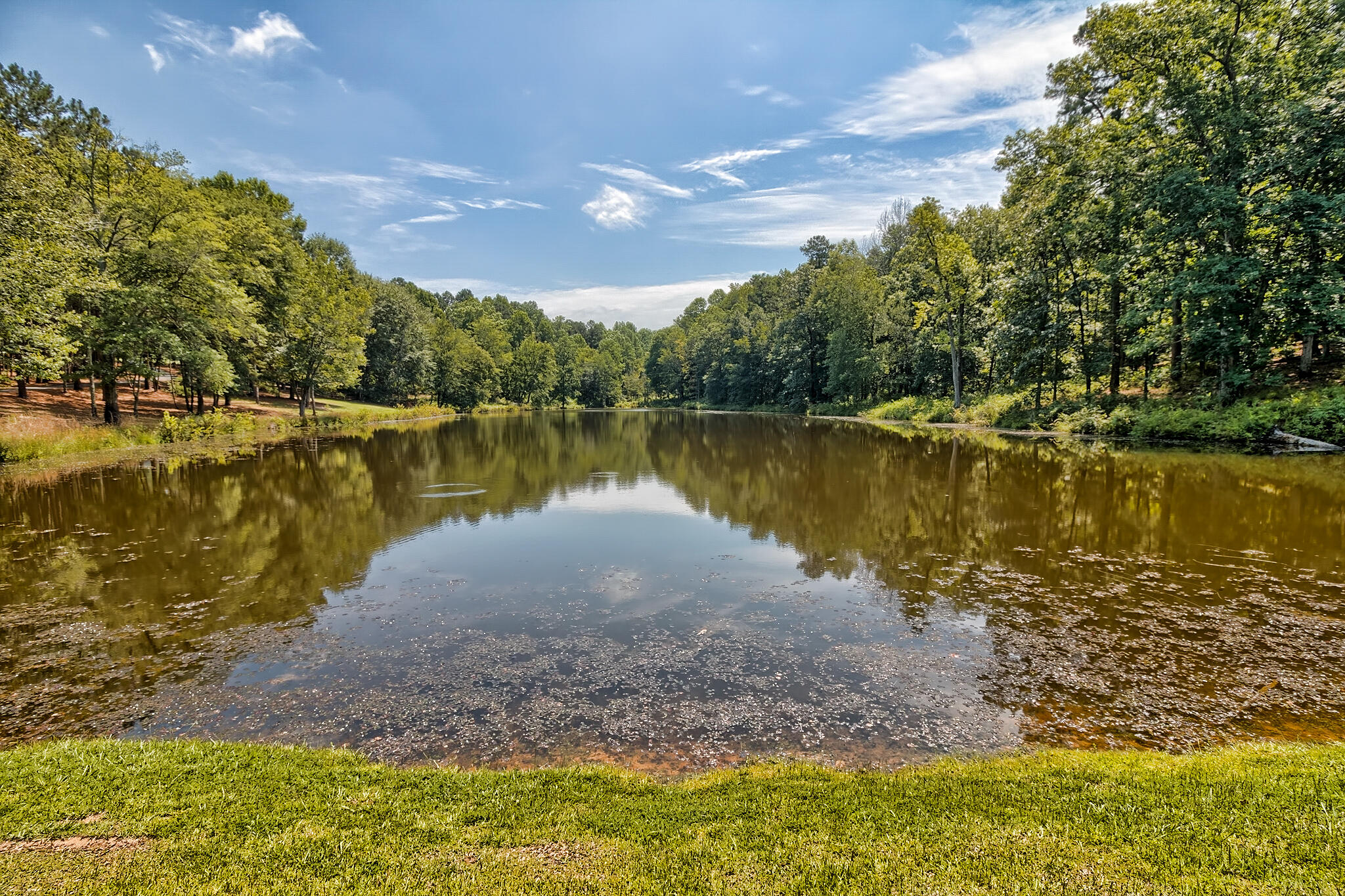 1290 Richardsons Lake Road Aiken, SC 29803 - Photo 64 of 101