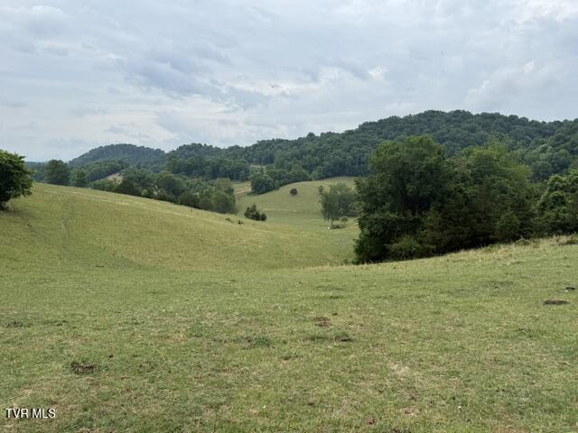 Tbd South Summer Sound Road Piney Flats, TN 37686 - Photo 21 of 22 IMG_8041