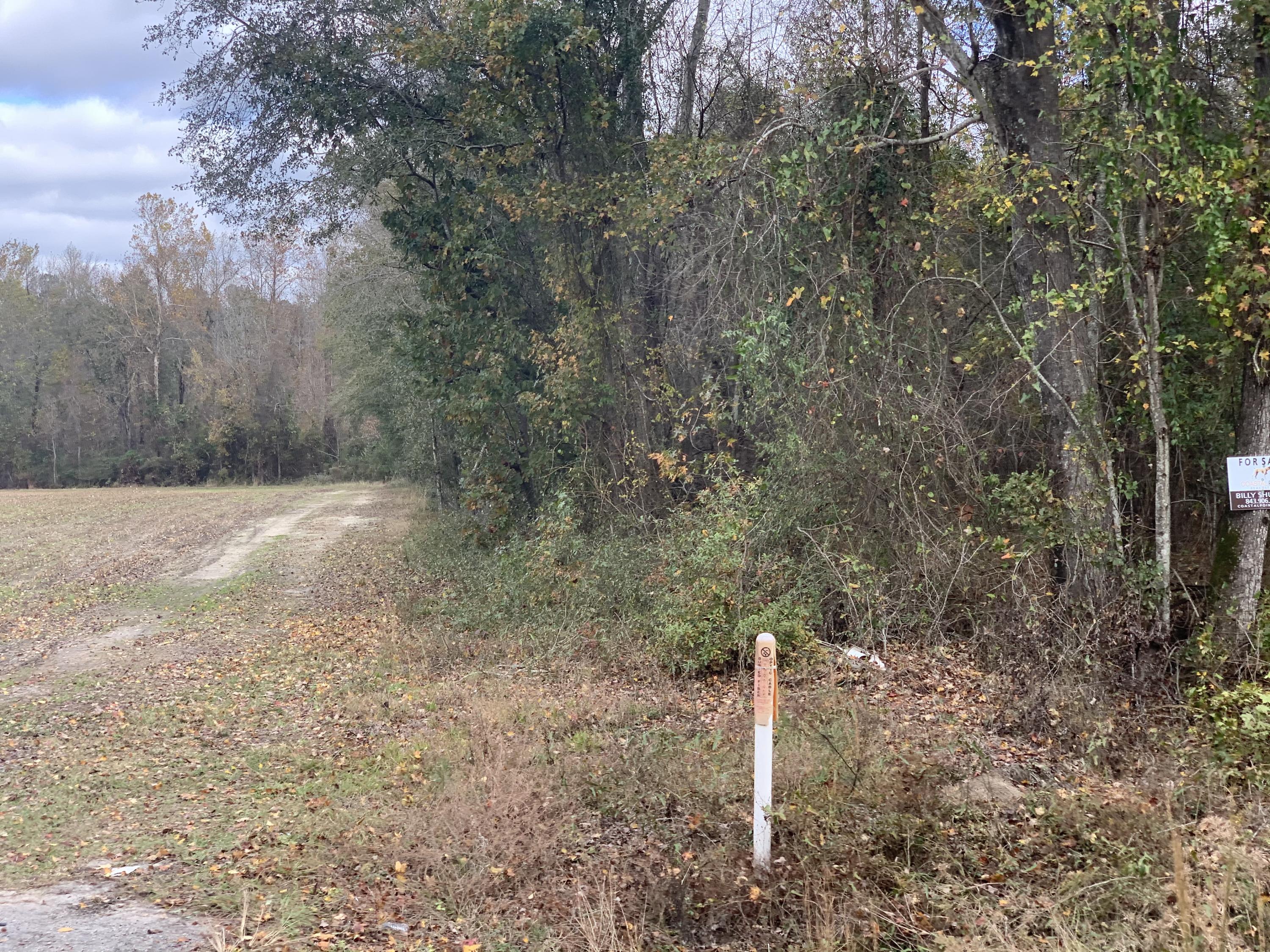 1000 Freedom Road Branchville, SC 29432 - Photo 8 of 15 D47A4EFF-64BD-4A8A-A8CD-A7E76B6D9B15