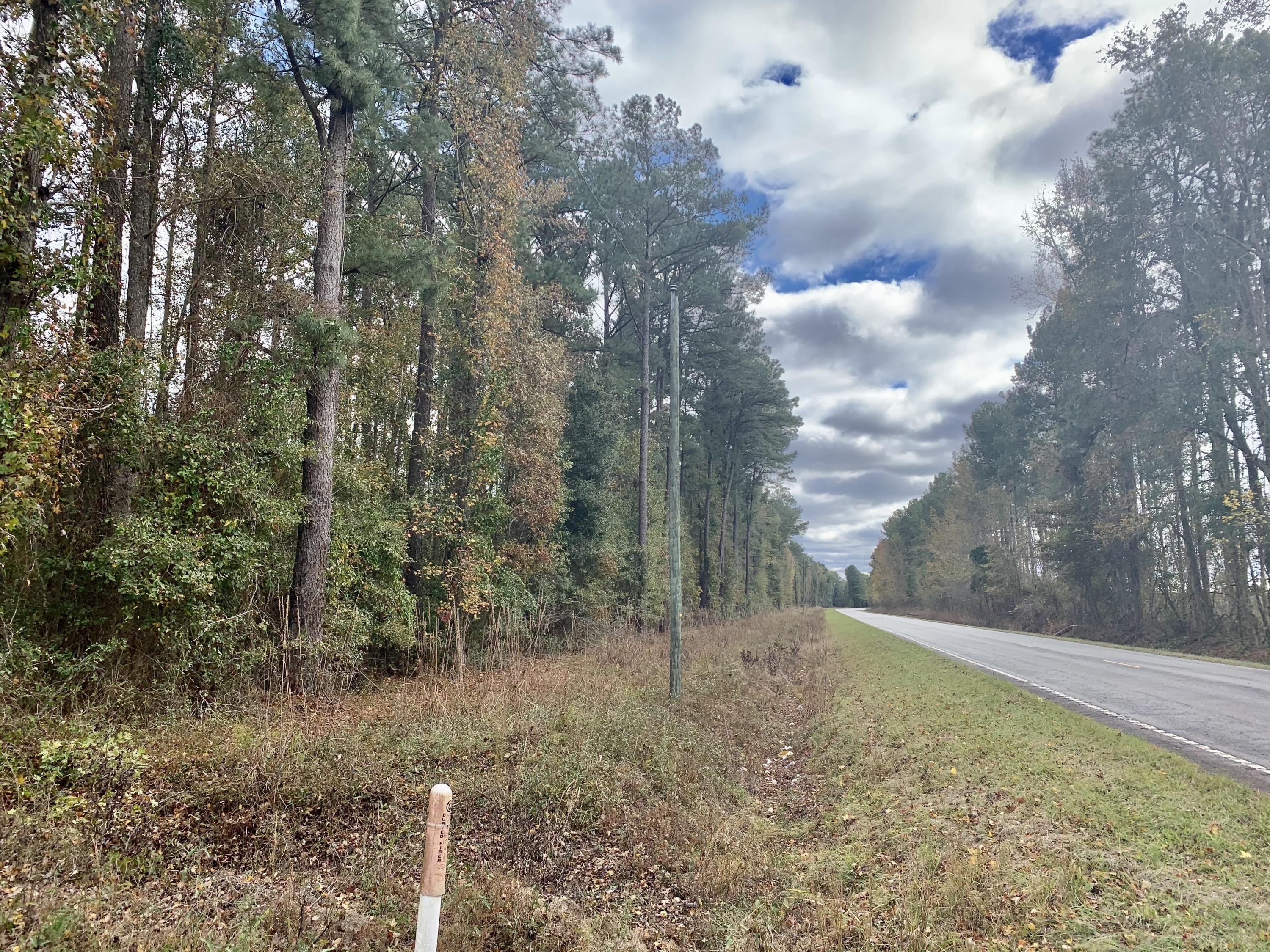 1000 Freedom Road Branchville, SC 29432 - Photo 10 of 15 C6D15010-1637-4478-BFC9-4210104A3E4A