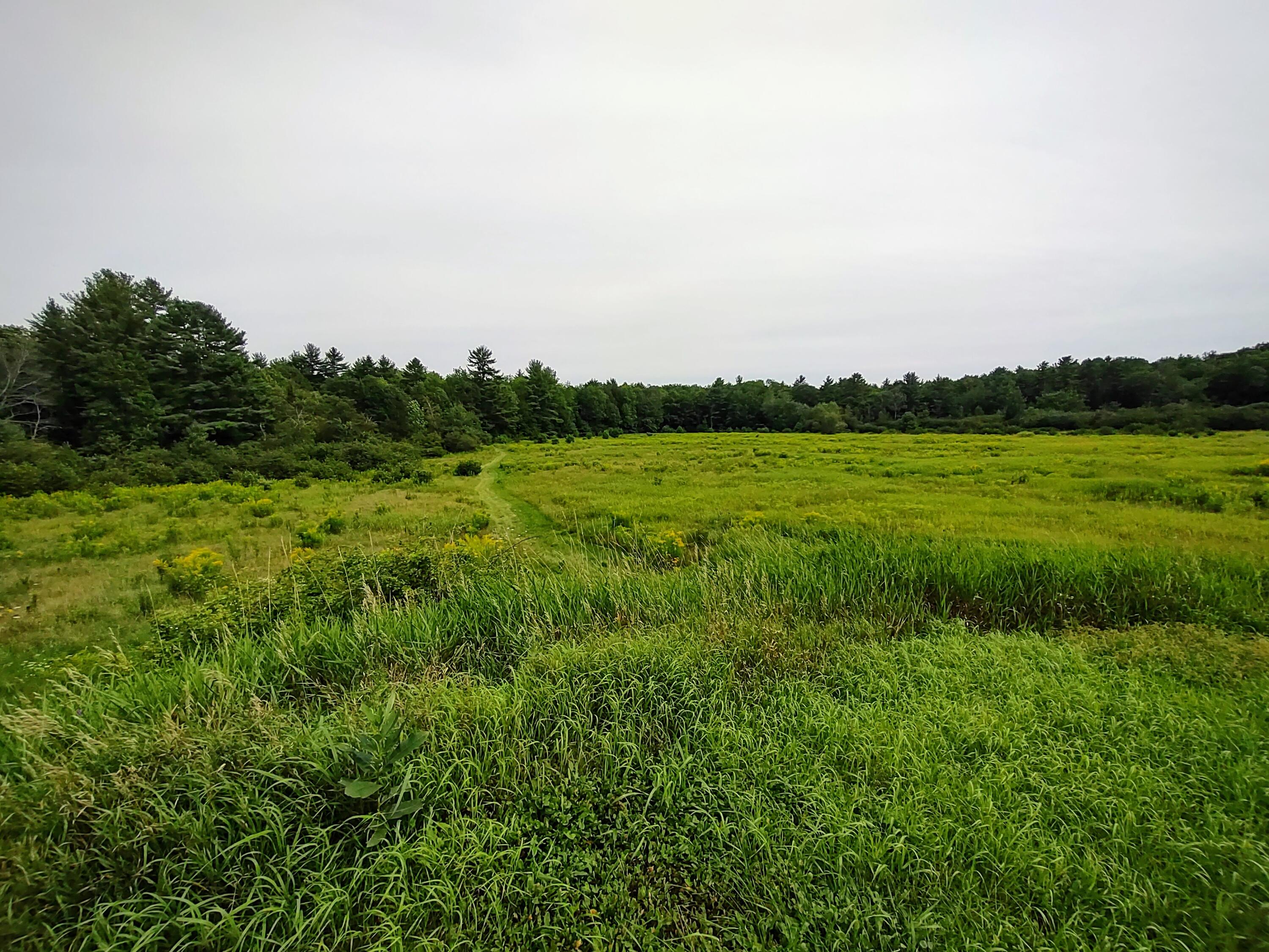 102 Wood Road Gorham, ME 04038 - Photo 28 of 33 IMG_20210803_145303529