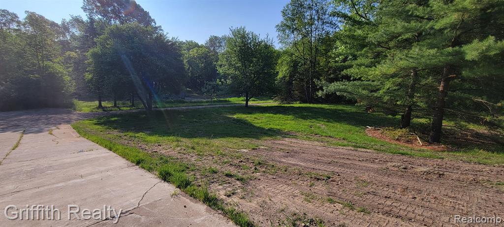 11641 Hyne Road Brighton, MI 48114 - Photo 6 of 7 Gallery Image 6