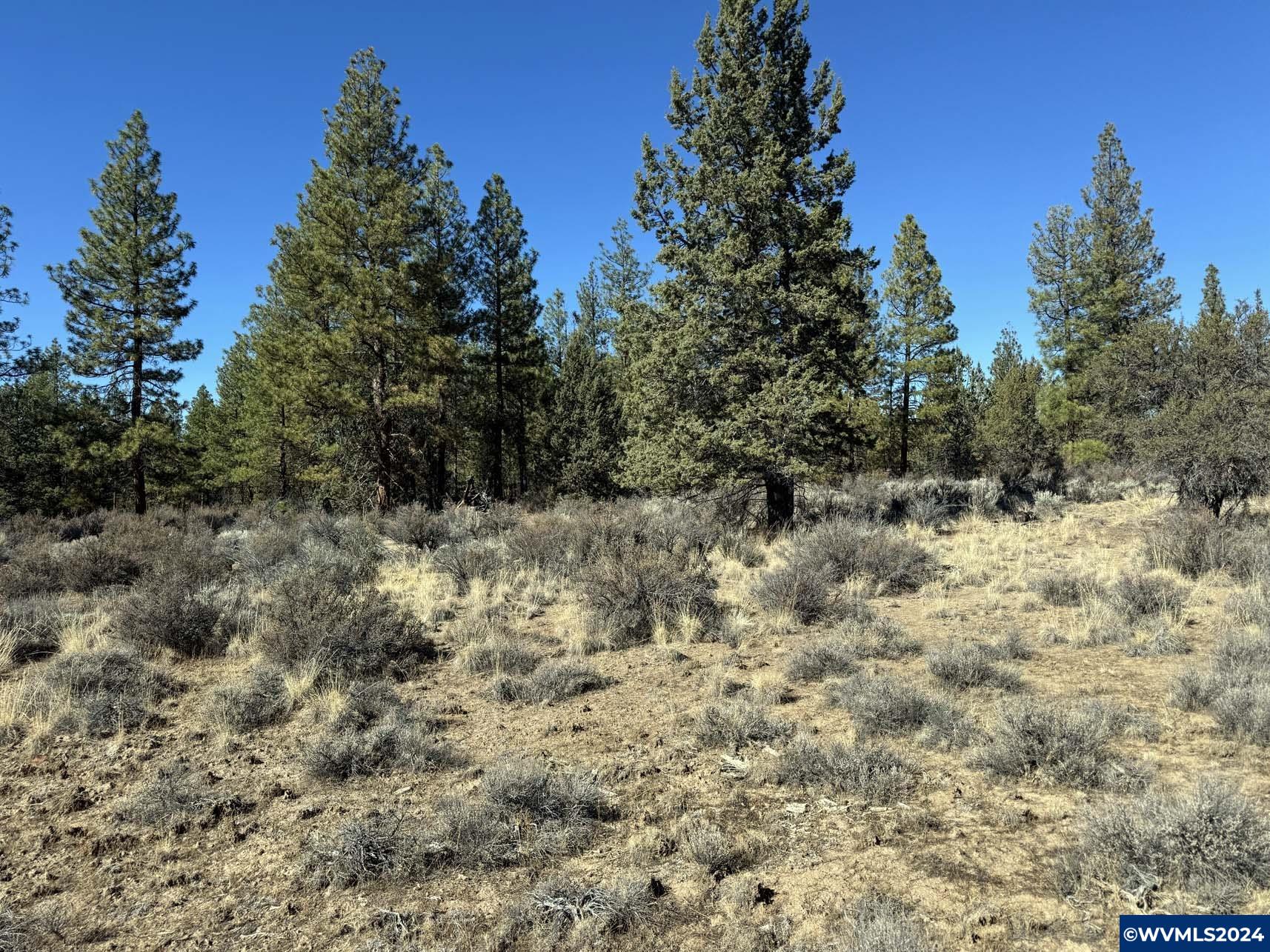 600 Oregon Pines Road Chiloquin, OR 97624 - Photo 33 of 49