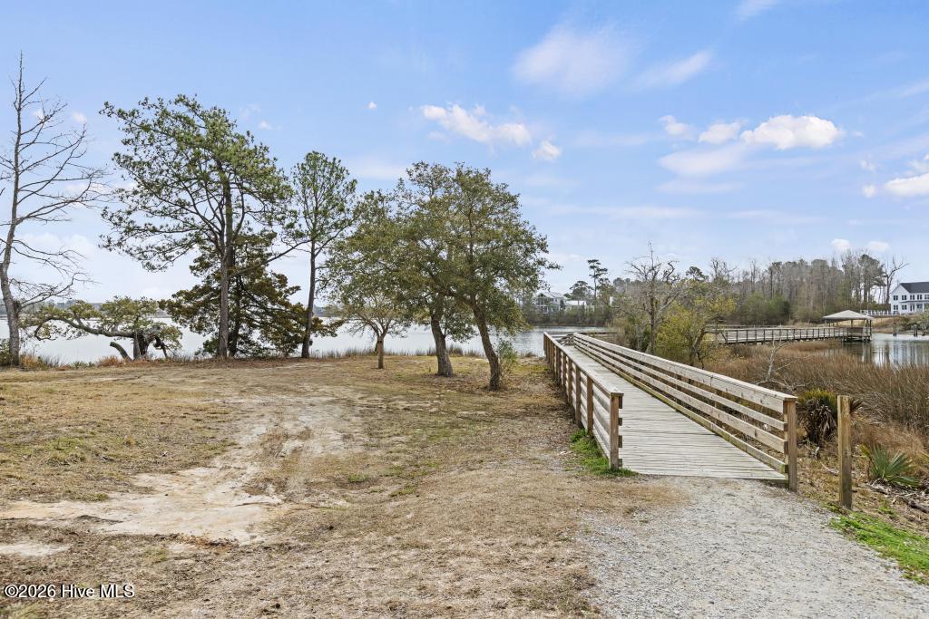 116 Mansfield Court Hampstead, NC 28443 - Photo 40 of 43 425A7505