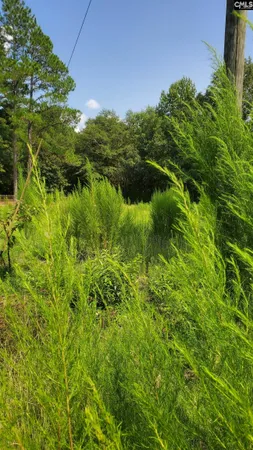 $25,000 | Ardis Road, Pinewood, SC 29125