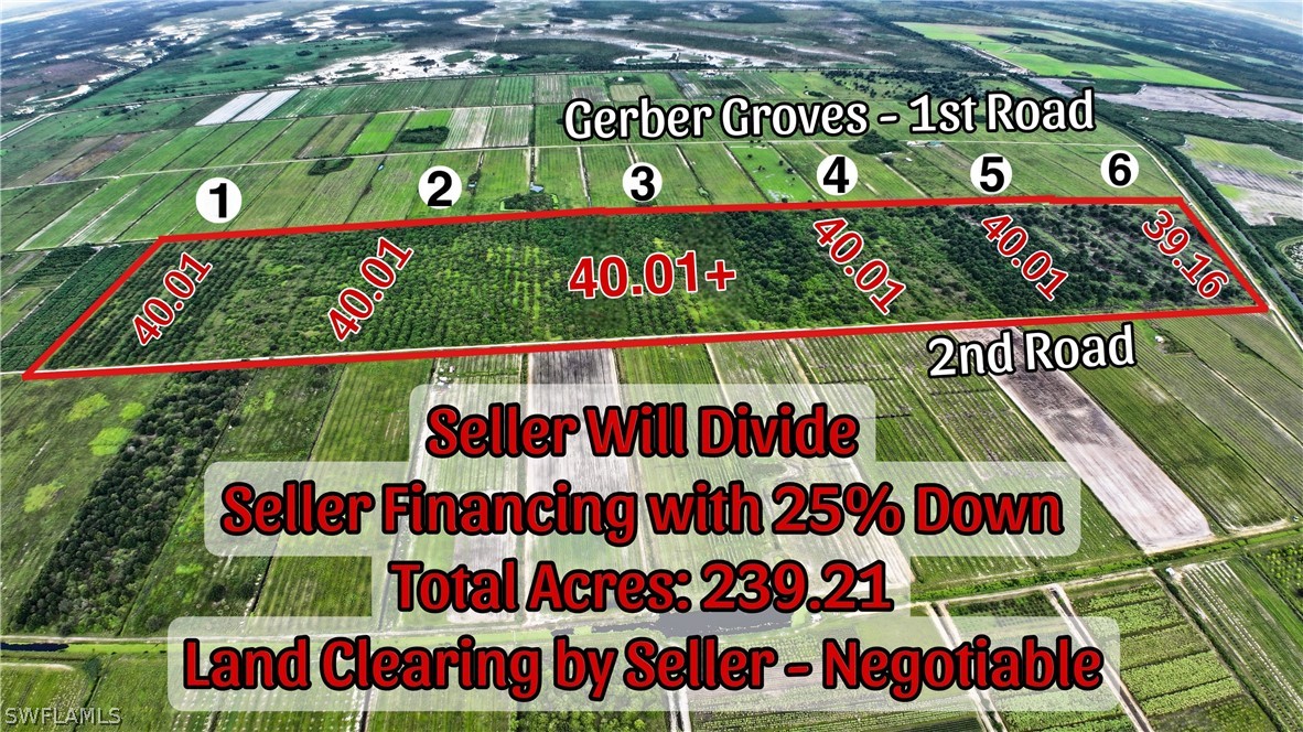 0 2nd Road LaBelle, FL 33935 - Photo 4 of 8