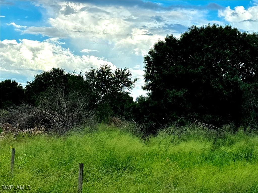 0 2nd Road LaBelle, FL 33935 - Photo 8 of 8 a view of outdoor space and yard