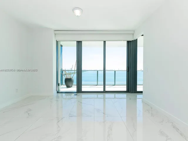 a view of a backyard with plants and palm trees