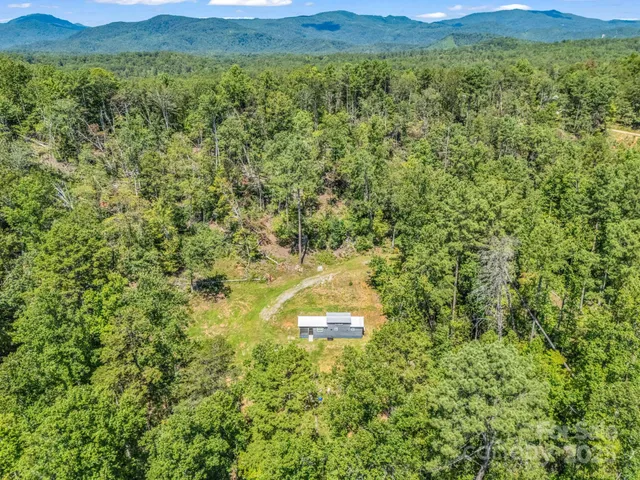 a view of a lush green hillside and a houses