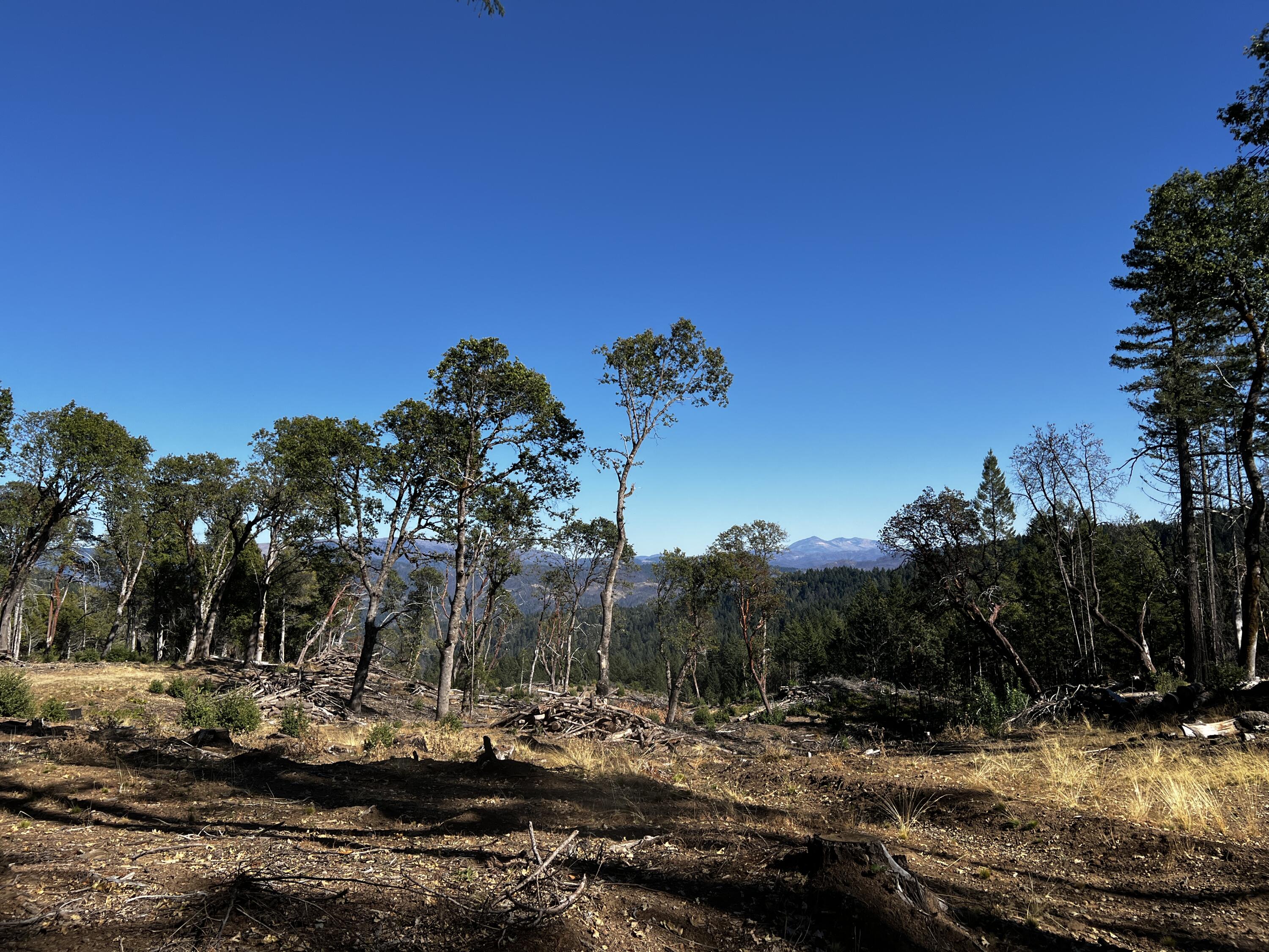80-acre Bluff Creek Road Zenia, CA 95595 - Photo 10 of 27