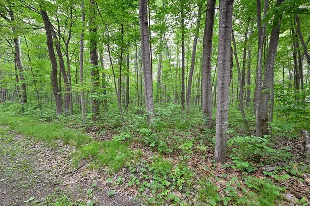 $28,320 | Lot 2 North Chippewa Avenue, Hayward, WI 54843