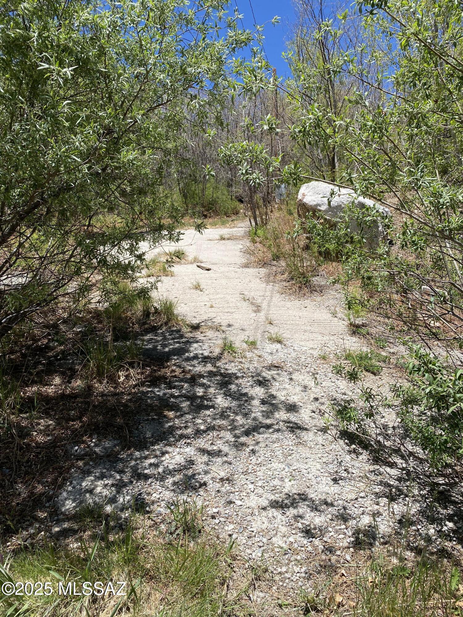 10991 East Carter Canyon Road, Unit 18 Mount Lemmon, AZ 85619 - Photo 3 of 8