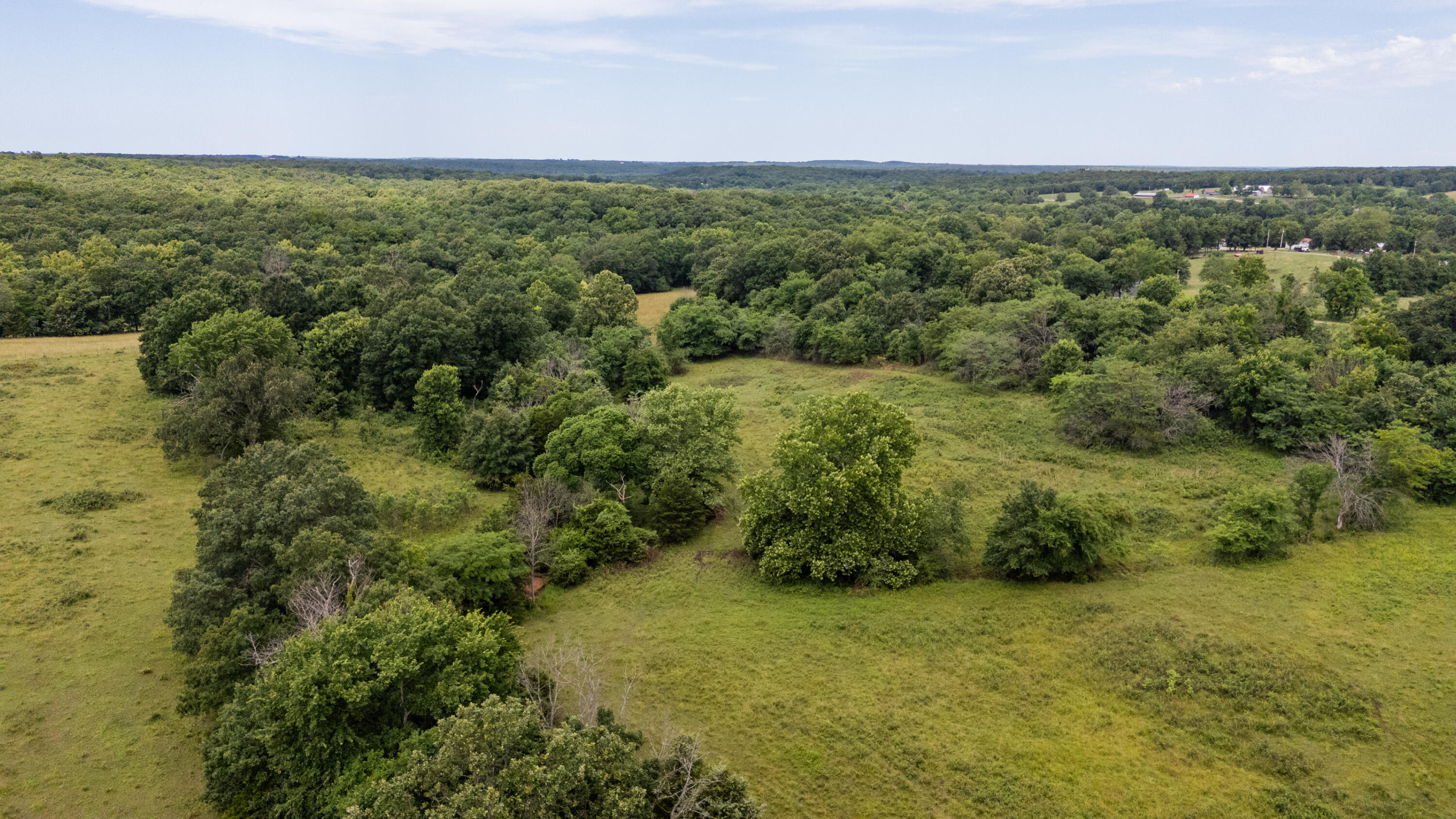 0 South 220th Road Half Way, MO 65663 - Photo 25 of 47 Polk 30 drone-19