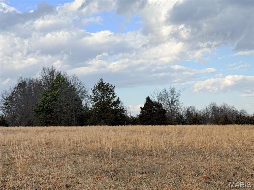 2-c 935 Audrain Road Mexico, MO 65265 - Photo 5 of 6