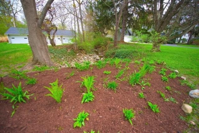 811 Topinabee Road Niles, MI 49120 - Photo 15 of 81 DSC_6308 (640x427)