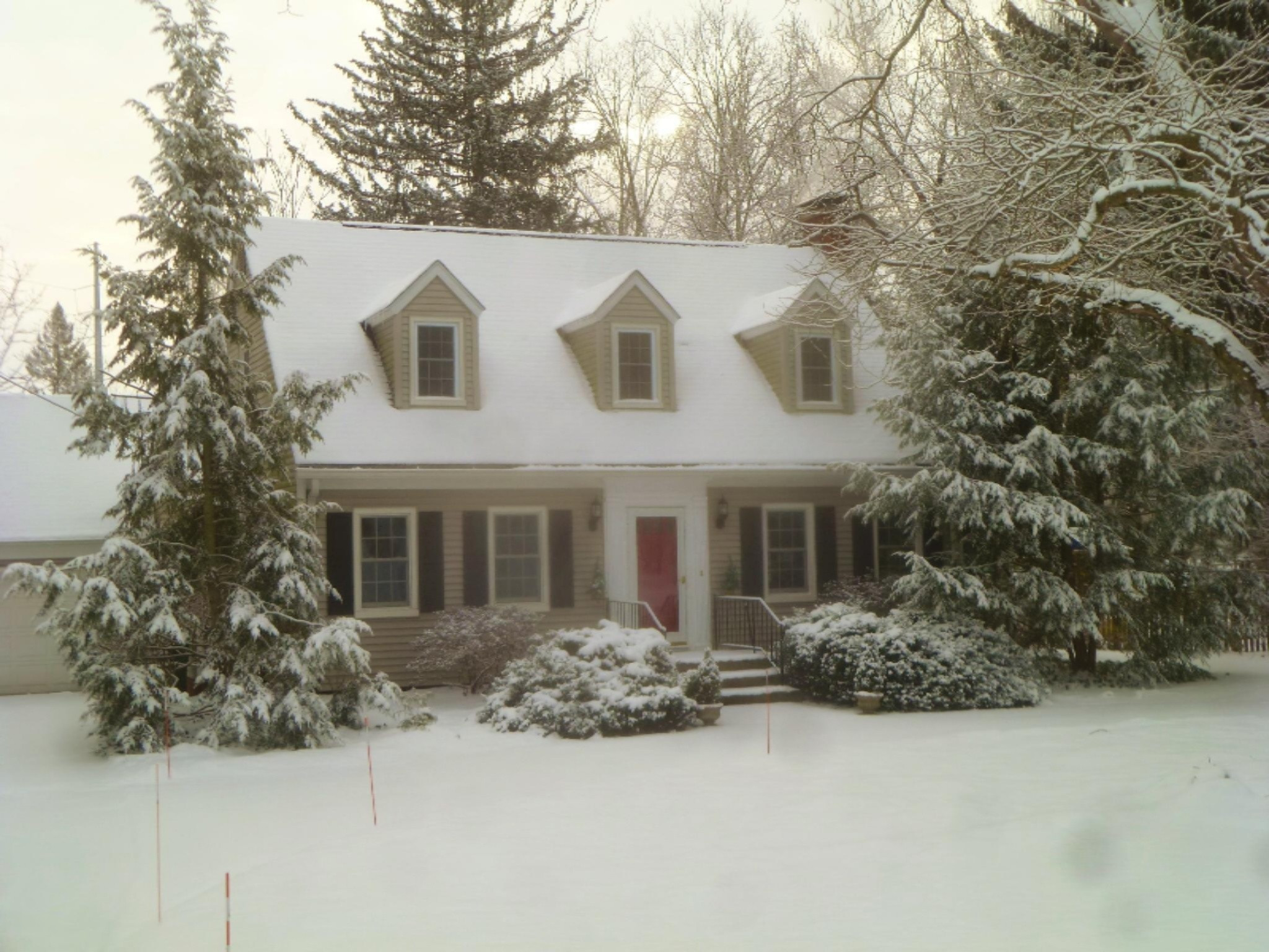 SnowPictures-021713 014