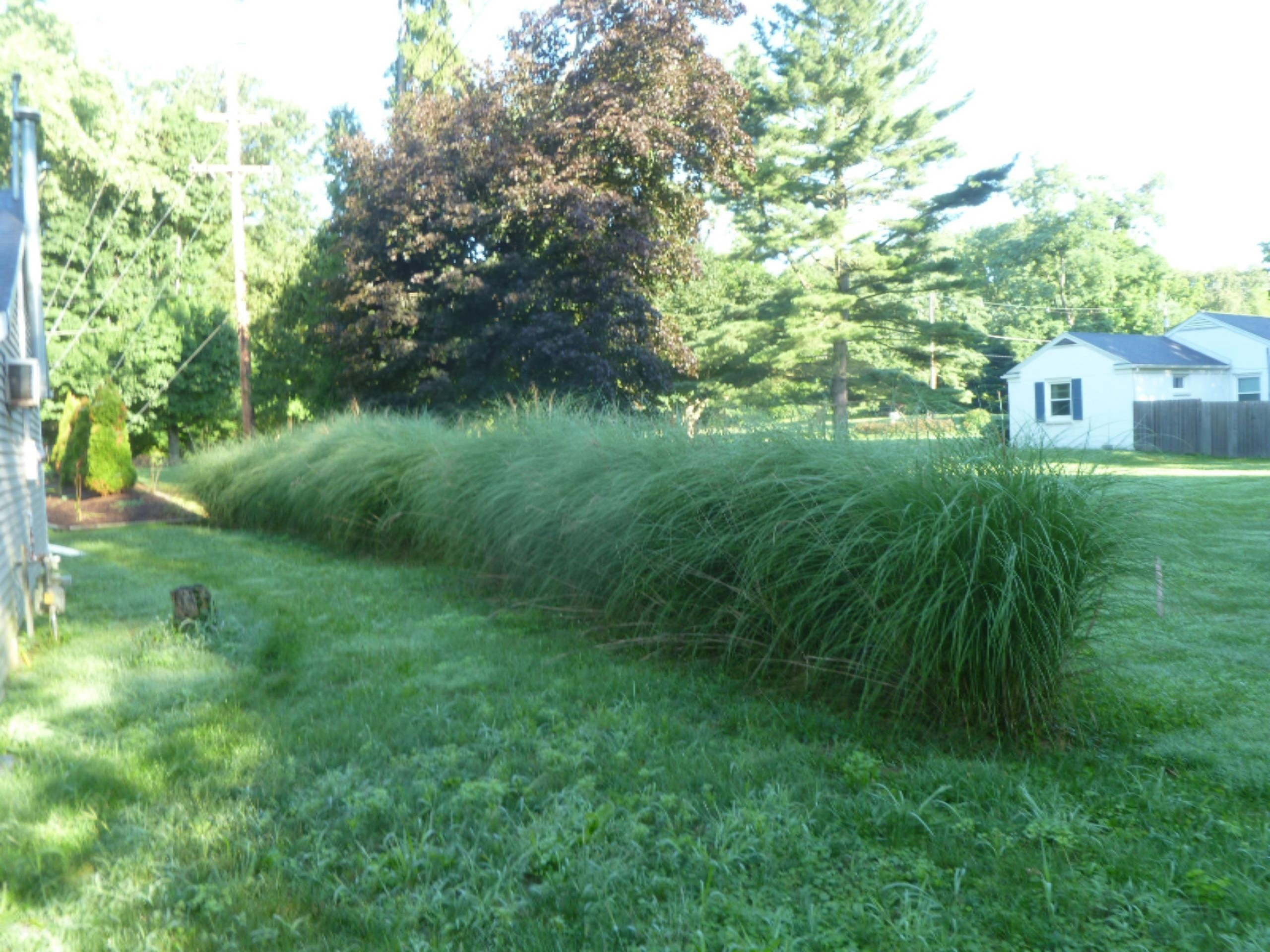 811 Topinabee Road Niles, MI 49120 - Photo 22 of 81 GardenAlmostComplete-073011 002