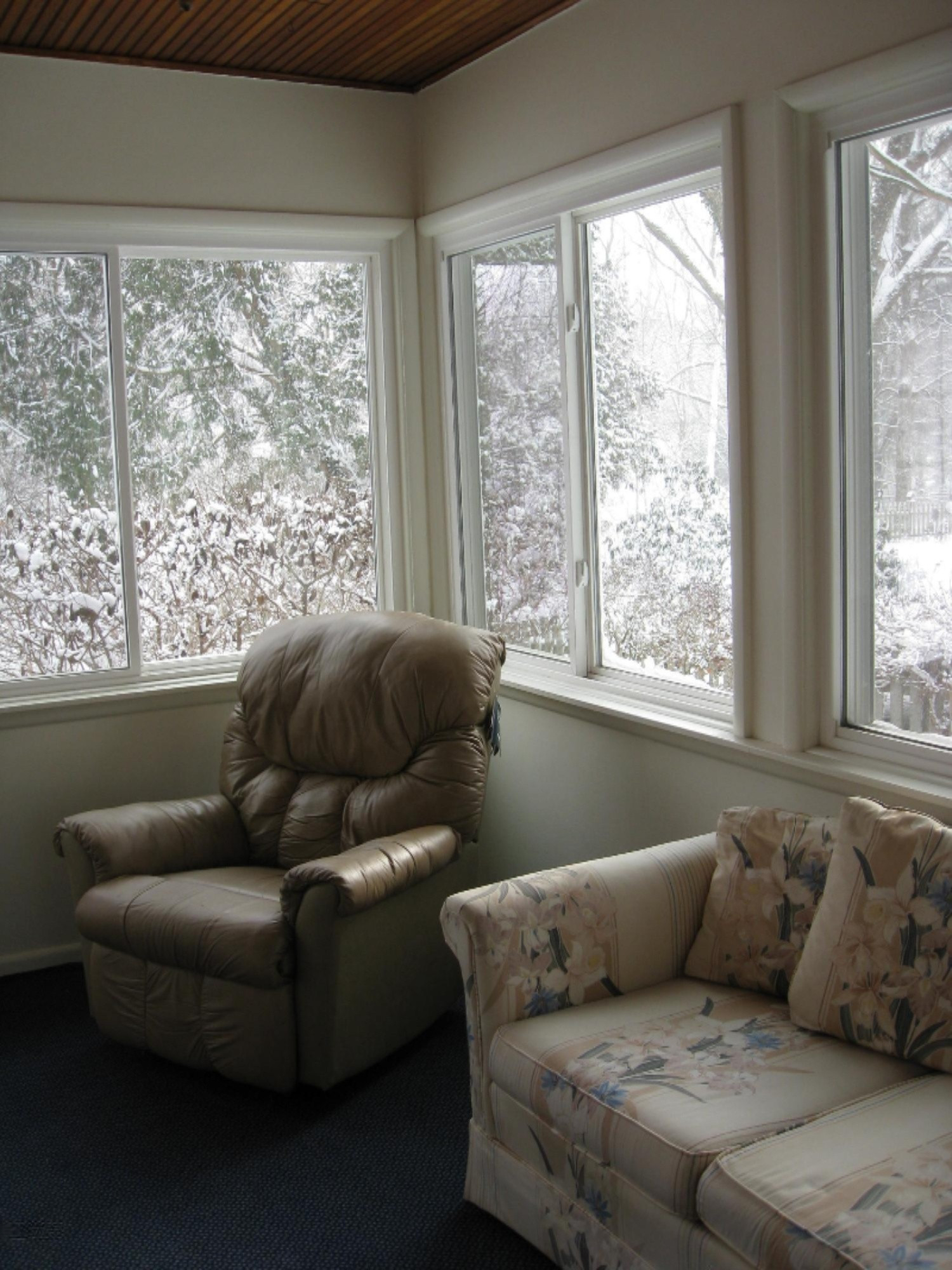 811 Topinabee Road Niles, MI 49120 - Photo 27 of 81 IMG_0385
