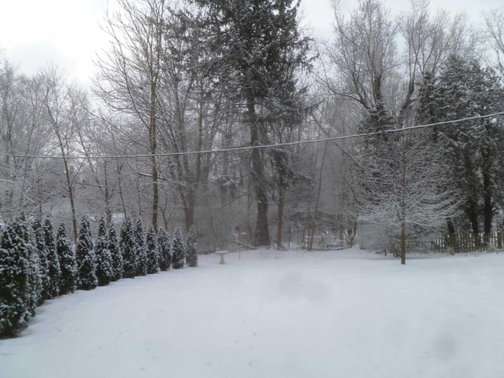 SnowPictures-021713 017