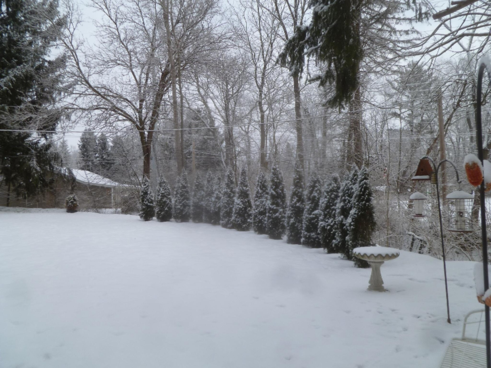 SnowPictures-021713 020
