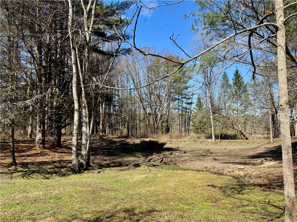 423 Valley View Road Bainbridge, NY 13733 - Photo 7 of 40