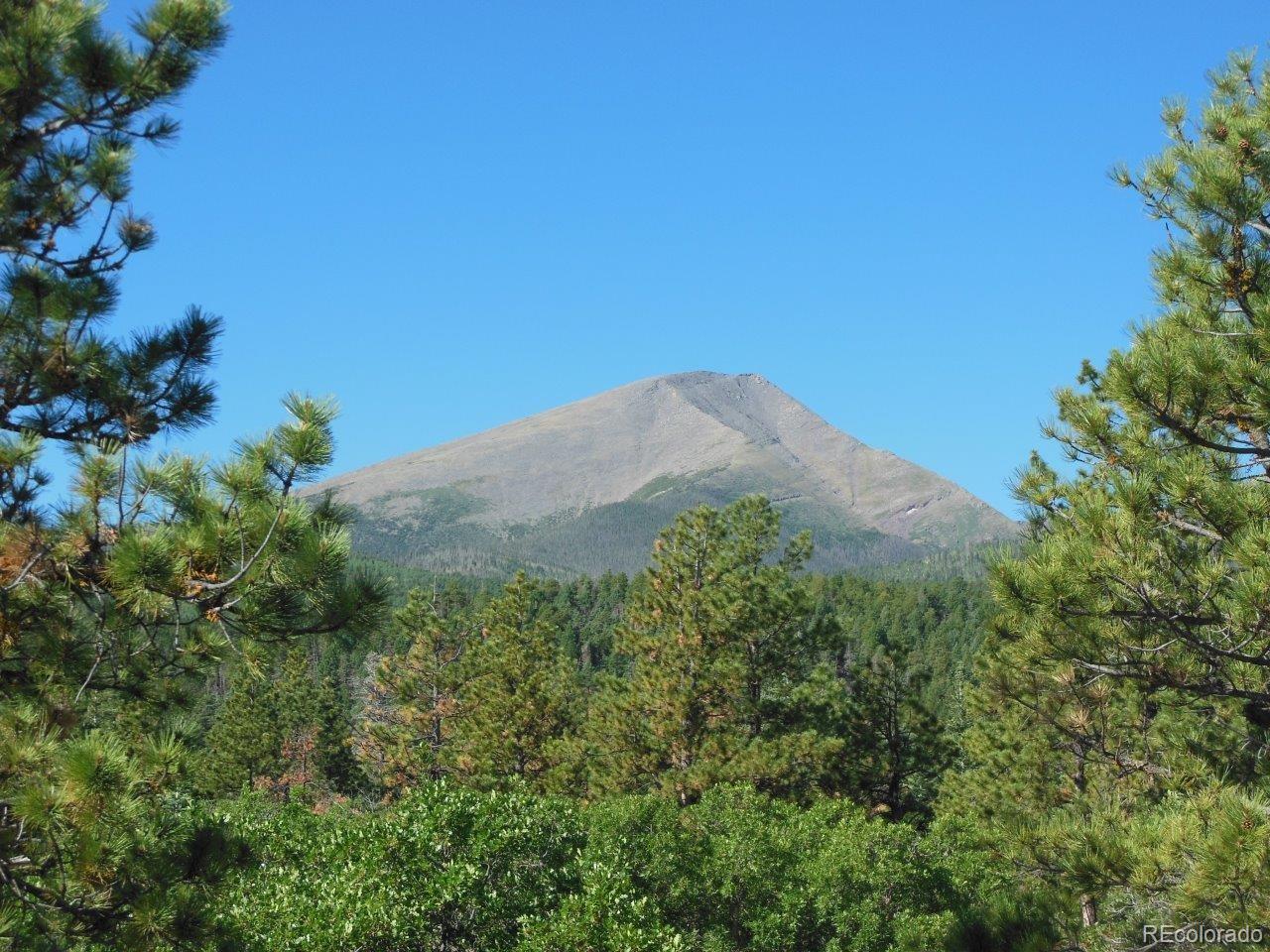 481 San Miguel Road Westcliffe, CO 81252 - Photo 22 of 26 a view of a field
