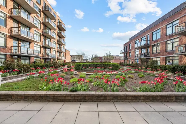 a bunch of flowers sitting in front of a building