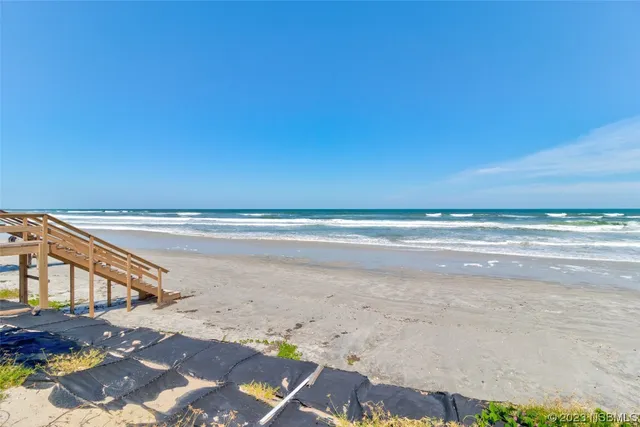 a potted plant sitting in front of a house