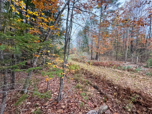 $95,000 | Lot 57 Dodge Road, Dresden, ME 04342