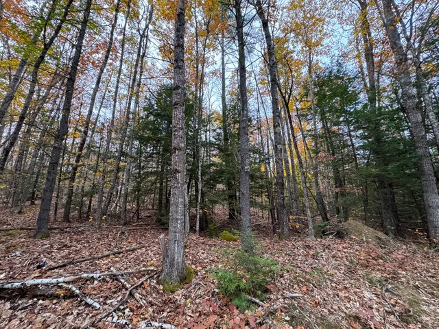 $95,000 | Lot 57 Dodge Road, Dresden, ME 04342