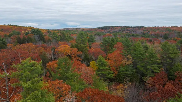 $95,000 | Lot 57 Dodge Road, Dresden, ME 04342