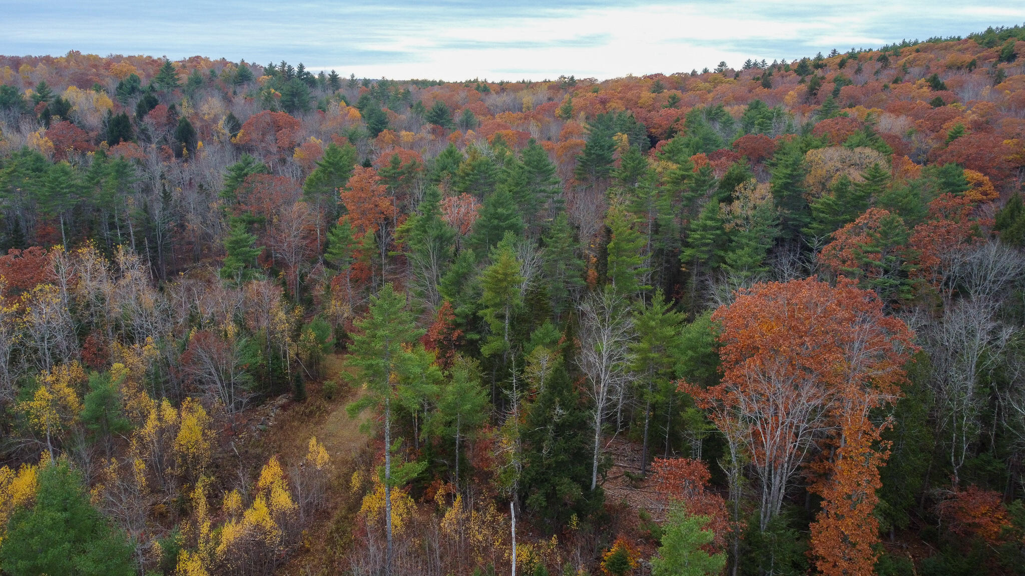 Lot 57 Dodge Road Dresden, ME 04342 - Photo 4 of 13 4