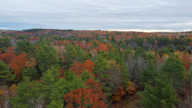 $95,000 | Lot 57 Dodge Road, Dresden, ME 04342