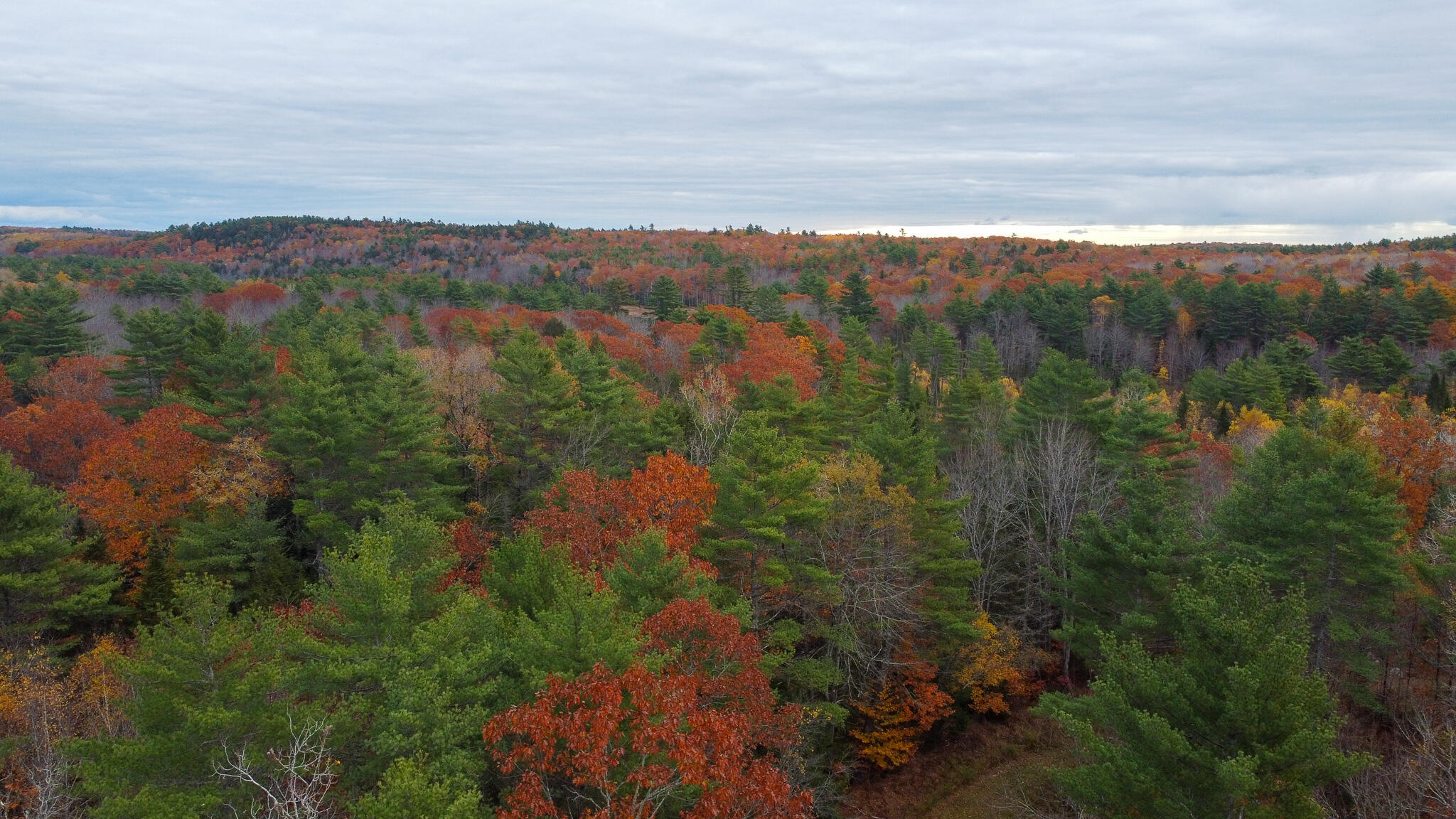 Lot 57 Dodge Road Dresden, ME 04342 - Photo 5 of 13 5
