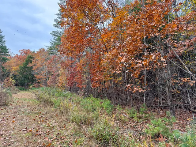 $95,000 | Lot 57 Dodge Road, Dresden, ME 04342