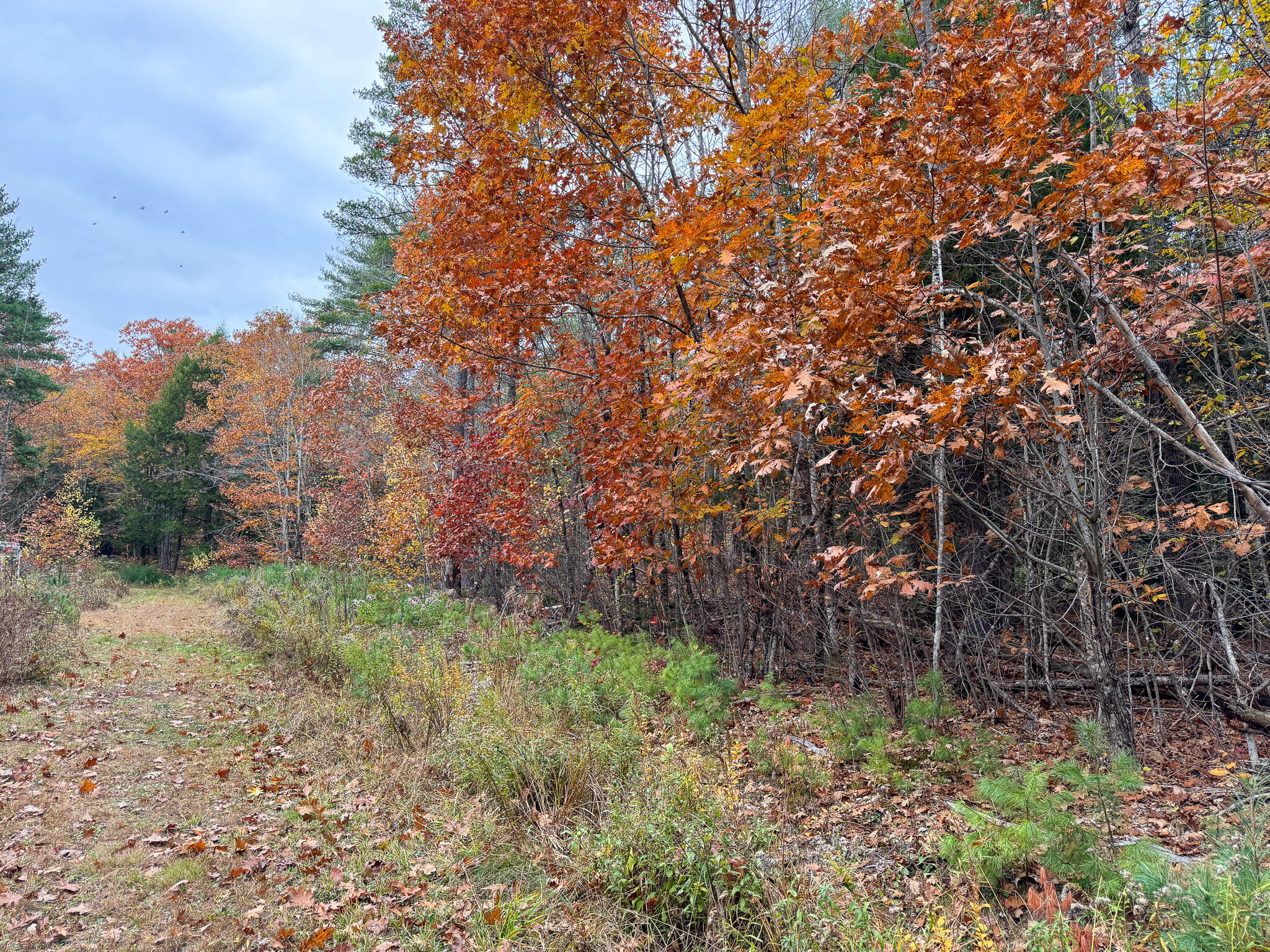 Lot 57 Dodge Road Dresden, ME 04342 - Photo 6 of 13 6