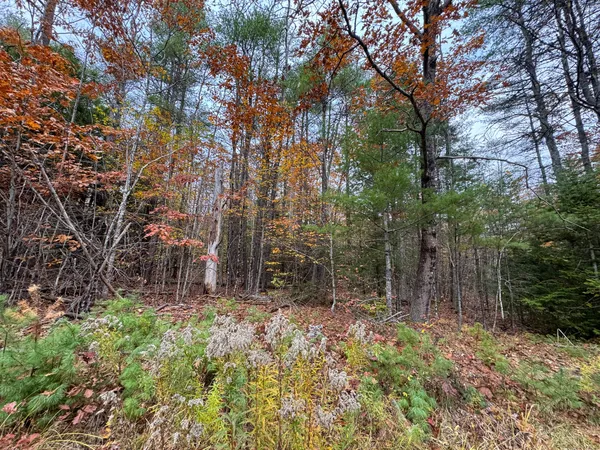 $95,000 | Lot 57 Dodge Road, Dresden, ME 04342