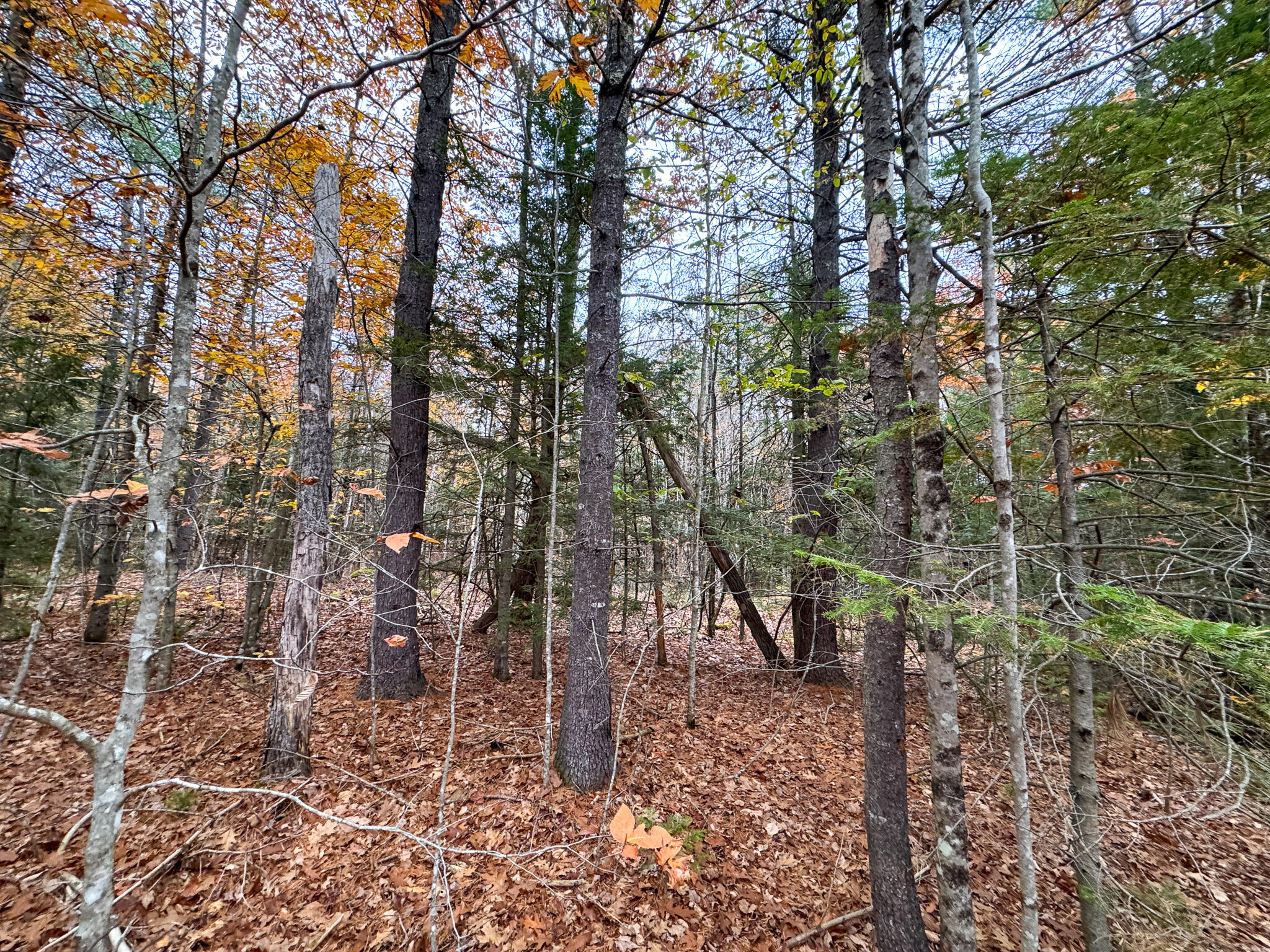 Lot 57 Dodge Road Dresden, ME 04342 - Photo 9 of 13 9