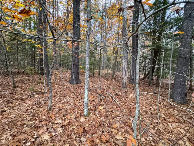 $95,000 | Lot 57 Dodge Road, Dresden, ME 04342