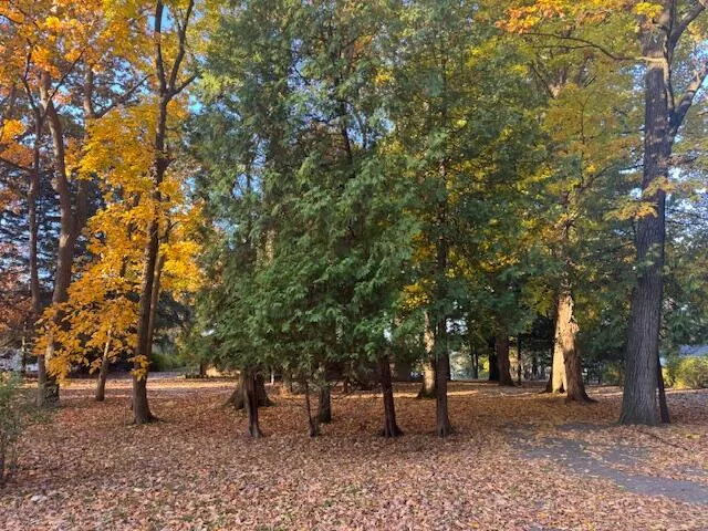 $2,800,000 | 4630 East Gull Lake Drive, Hickory Corners, MI 49060