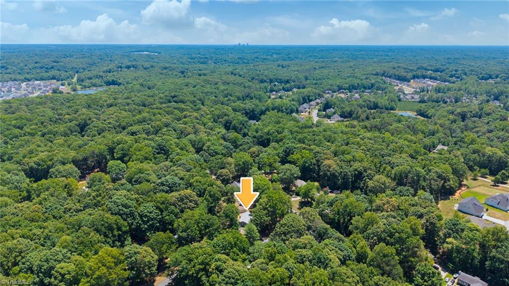5316 Bracy Ridge Court Pfafftown, NC 27040 - Photo 46 of 48